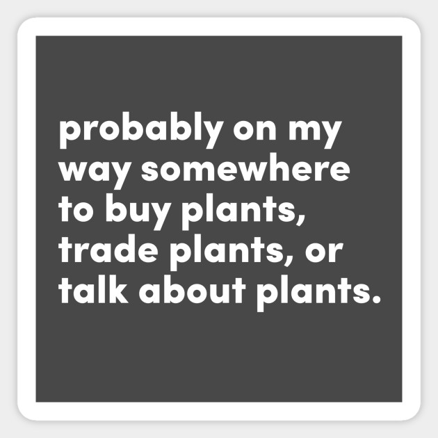 Probably on my way somewhere